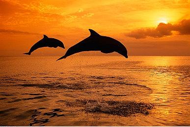 《暗黑破坏神2：重制版》野蛮人预告 9月24日来袭